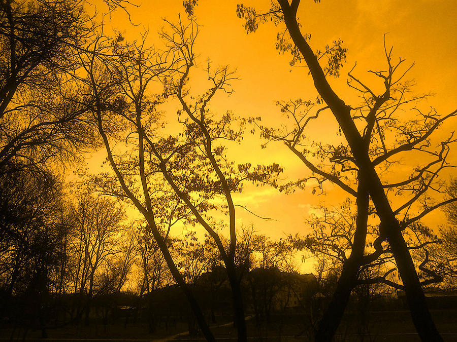 Orange sunset II Photograph by Rumiana Nikolova