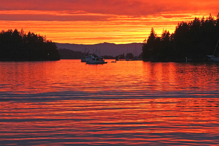 Orange Sunset Over the Bay Photograph by Peggy Collins