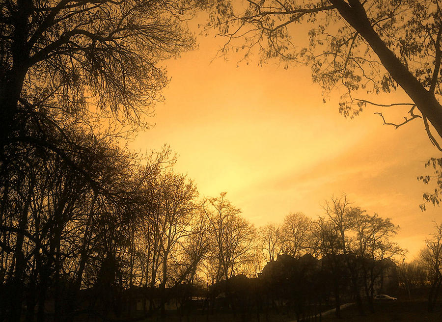 Orange sunset Photograph by Rumiana Nikolova