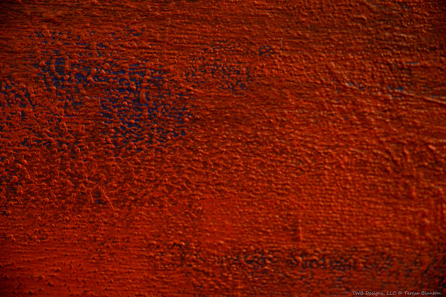 Orange Texture Photograph by Teresa Blanton