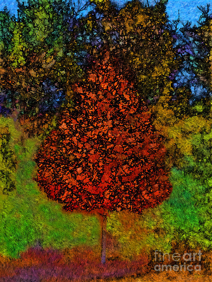 Fall Photograph - Orange Tree Impression by Jeff Breiman