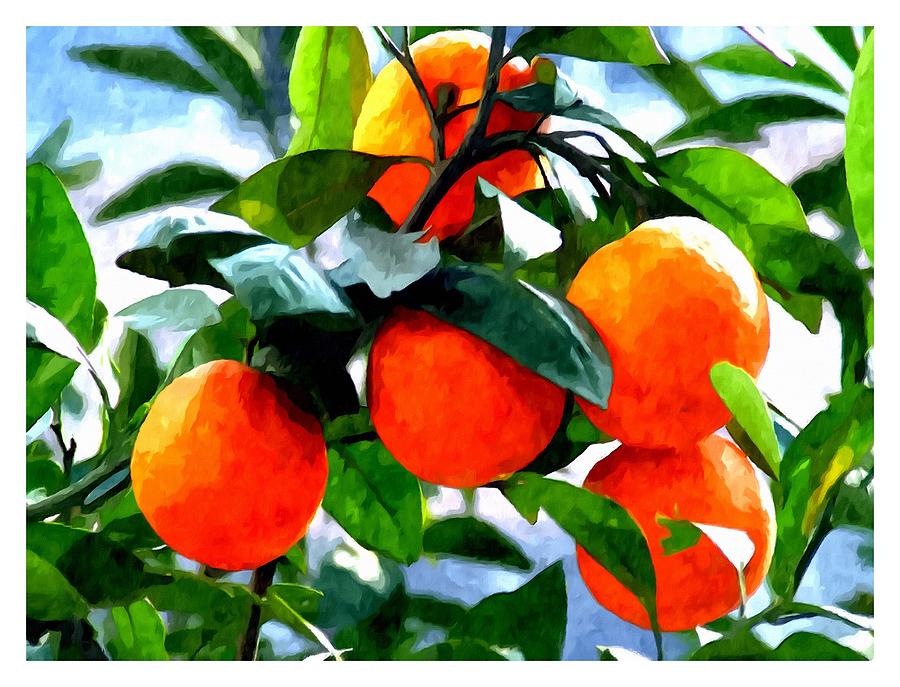 Orange Tree In Springtime Painting by Jeelan Clark