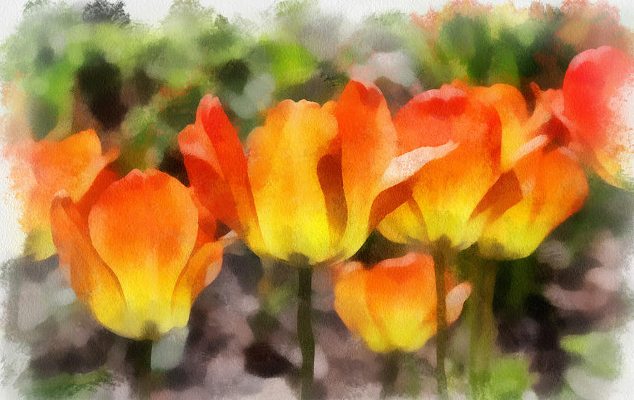 Orange Tulips Photograph by Gerry Bates