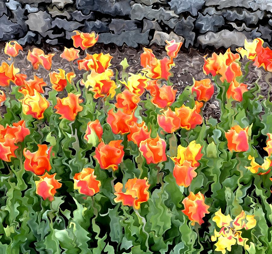 Orange Tulips Photograph by Nina-Rosa Dudy