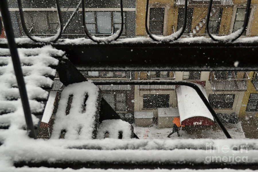 Orange Umbrella - Winter in New York Photograph by Miriam Danar