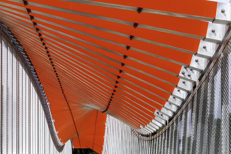 Orange Undulations by Lynn Palmer Orange Undulations by Lynn Palmer