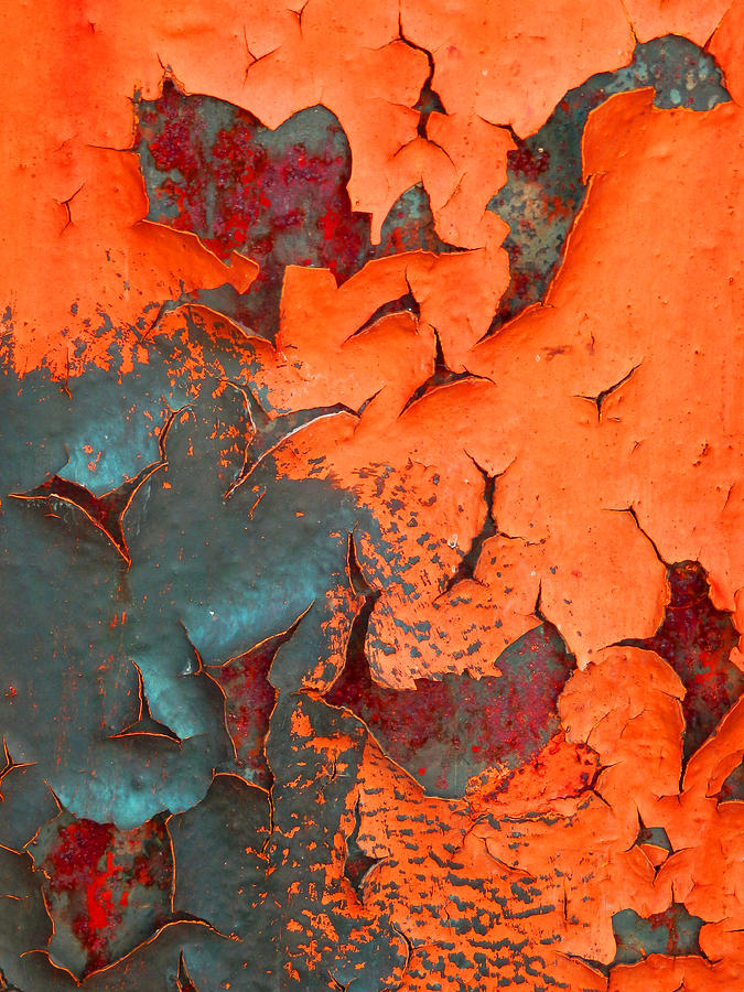 Orange With Steel Blue Photograph by Marcia Lee Jones