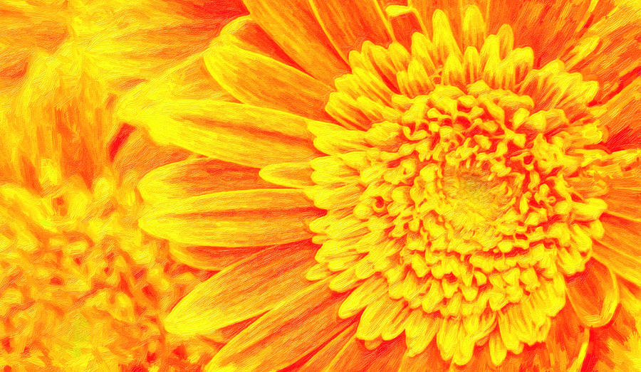 Orange Yellow Gerber Daisies Art Painting by MotionAge Designs