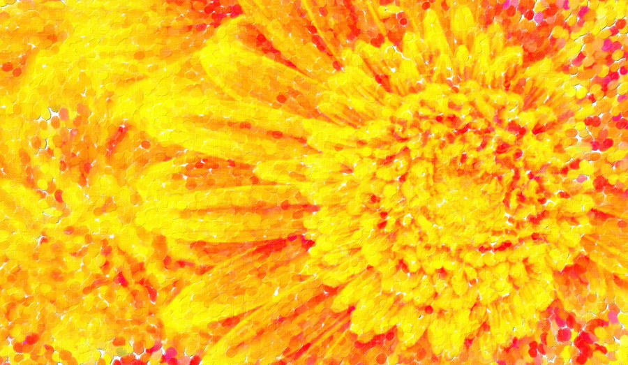 Orange Yellow Gerber Daisies Macro Art Painting by MotionAge Designs