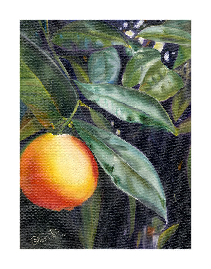 Orange you glad? Painting by Sherri Dauphinais