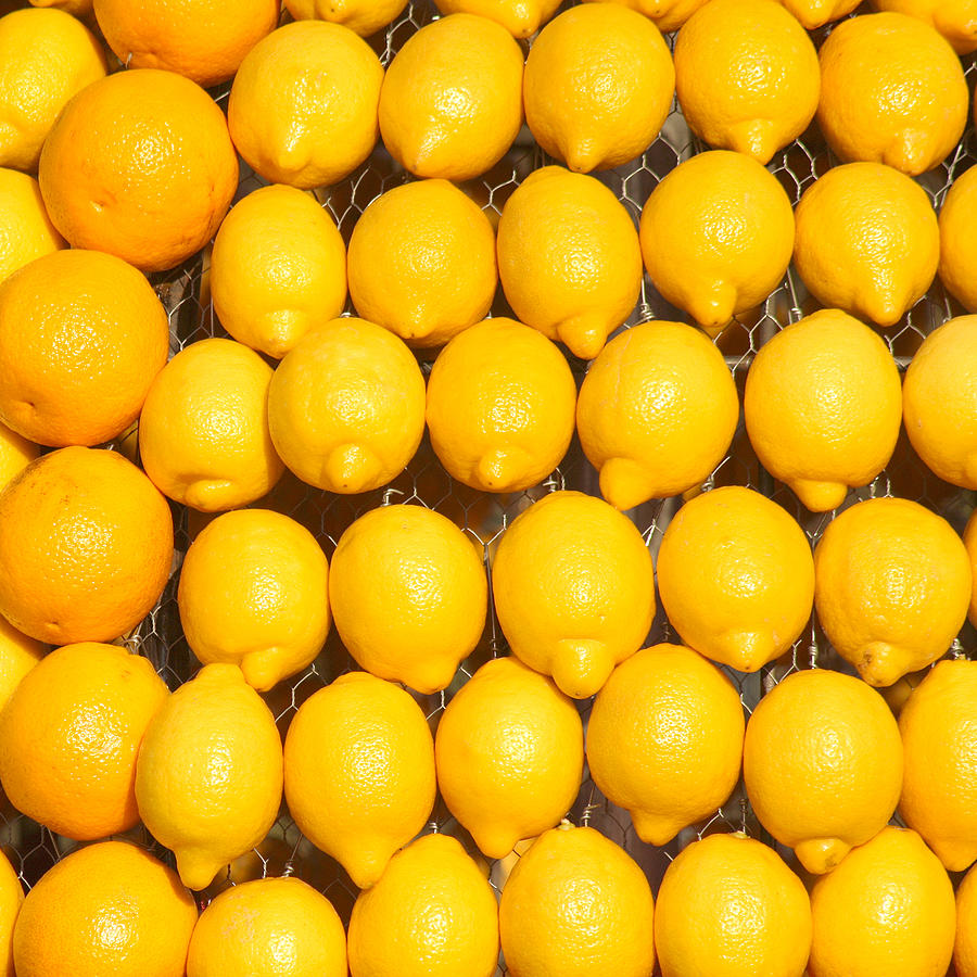 Lemon Photograph - Oranges and Lemons by Art Block Collections