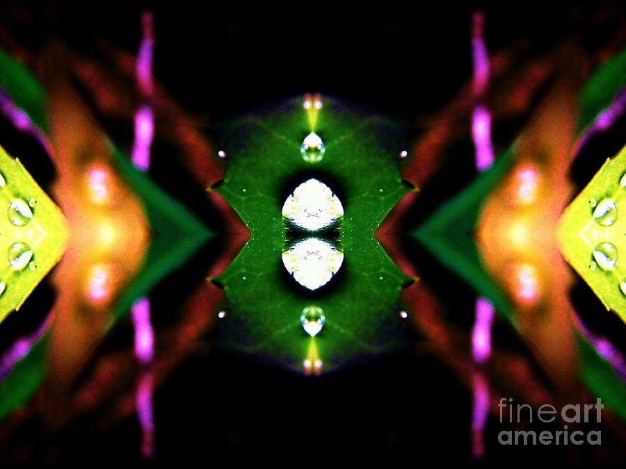 Oranges And Lemons Digital Art - Oranges and Lemons by Lorles Lifestyles Oranges And Lemons Digital Art - Oranges and Lemons by Lorles Lifestyles