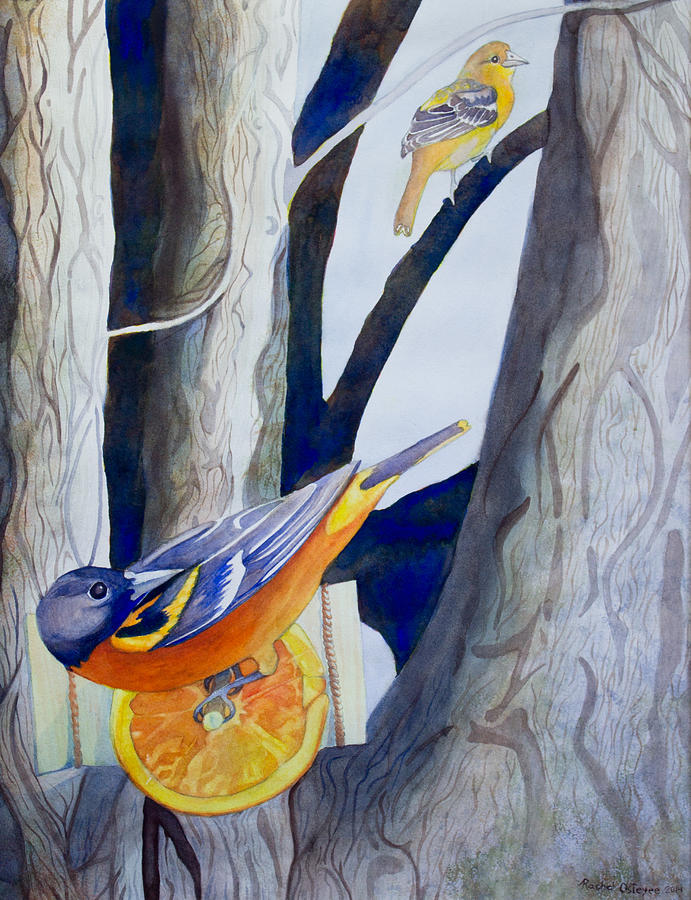 Baltimore Painting - Oranges and Orioles by Rachel Osteyee