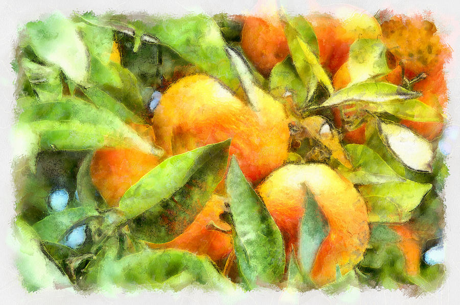 Oranges in Napoli by Michael Flood Oranges in Napoli by Michael Flood