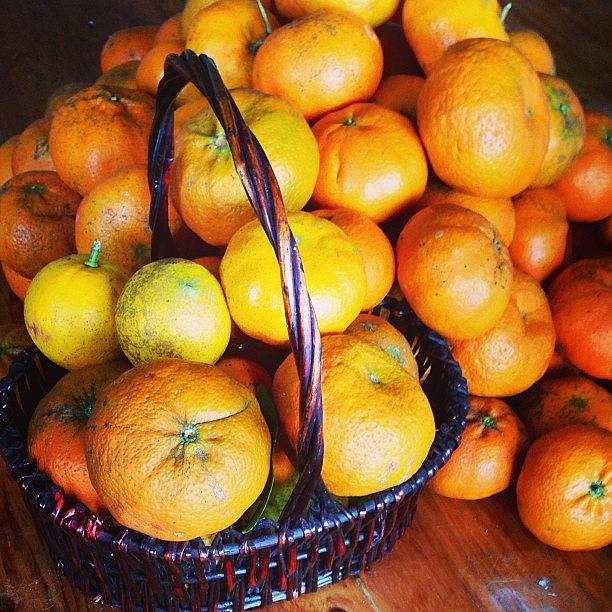 Nature Photograph - #oranges #mandarins #tangerines #health by Renee Bradley