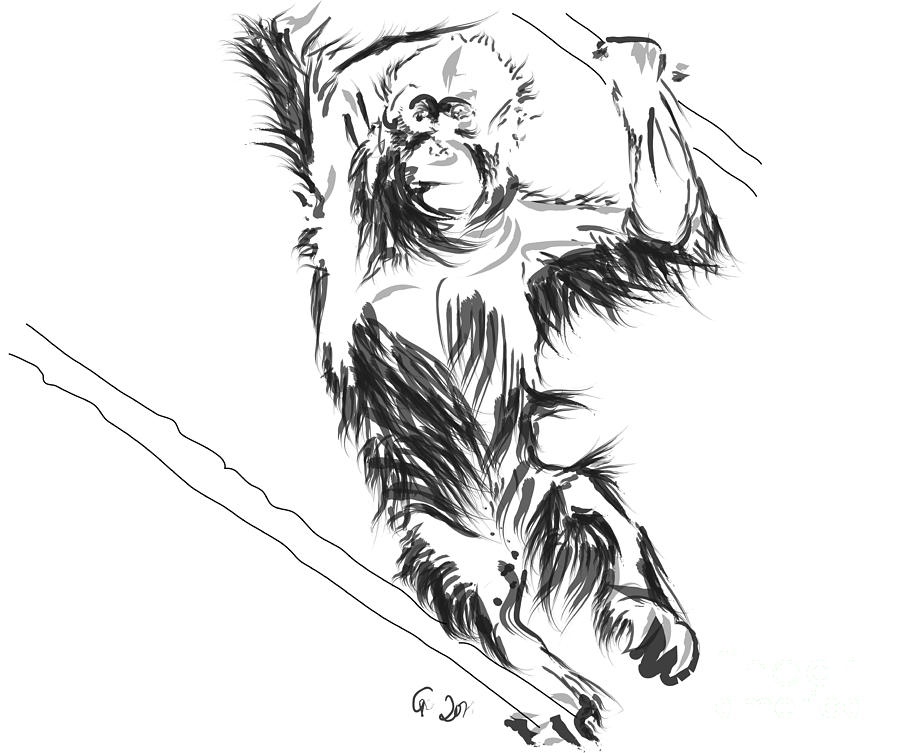 Orangutan 3 Painting by Go Van Kampen