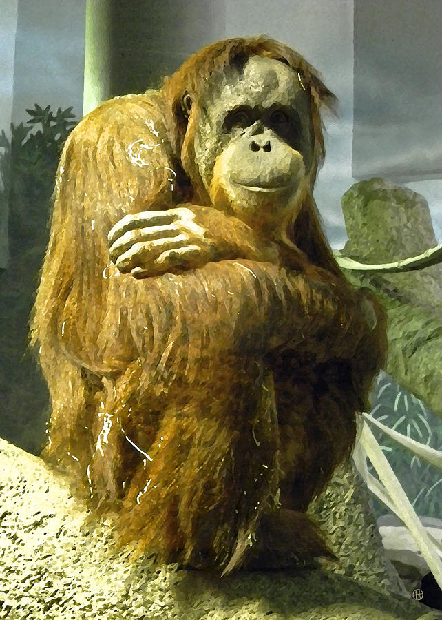 Orangutan Meditation Digital Art by Gary Olsen-Hasek