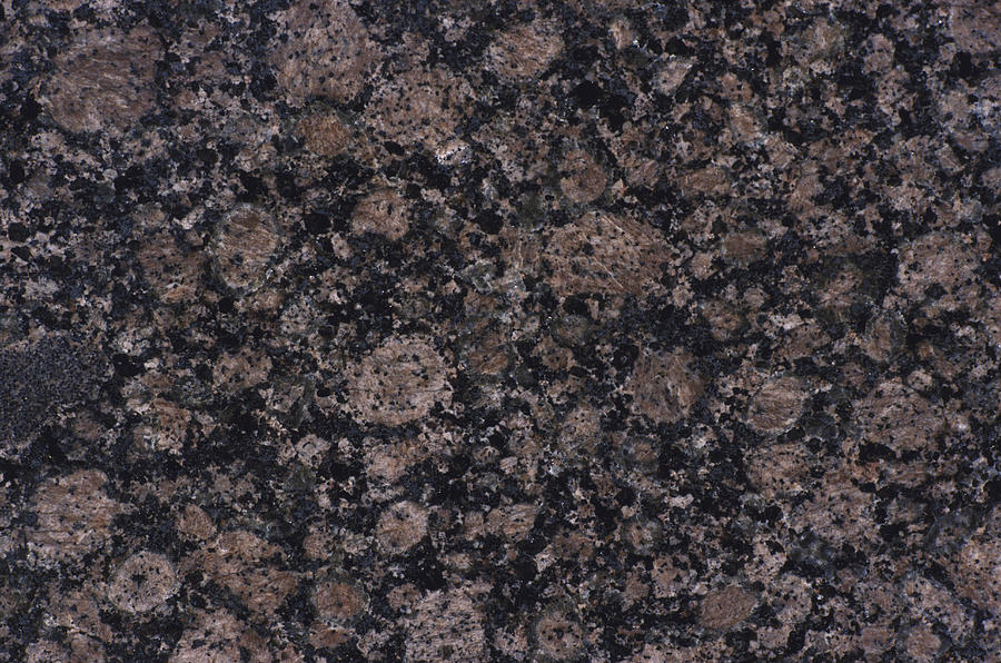 Orbicular Granite Photograph by A.b. Joyce