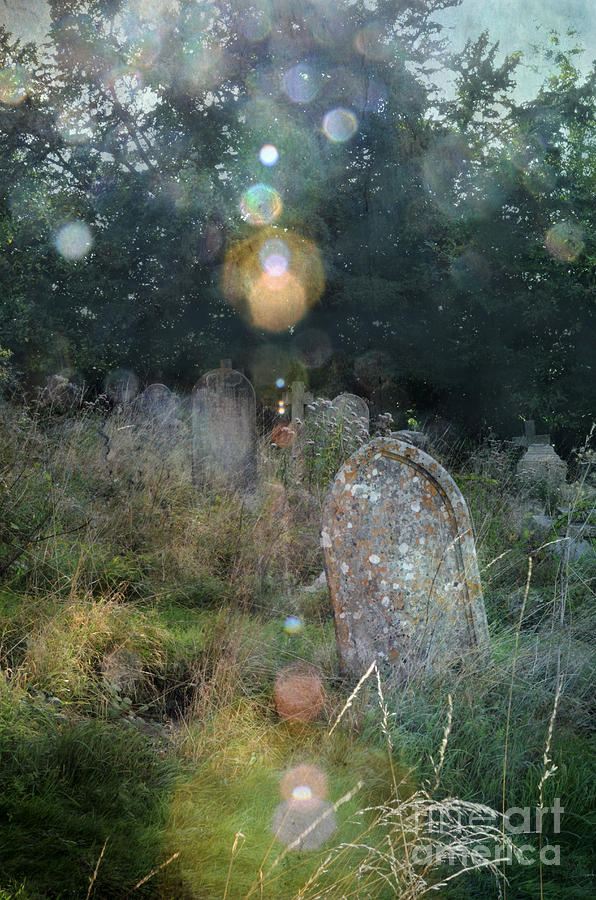 Old Photograph - Orbs in Overgrown Cemetery by Jill Battaglia