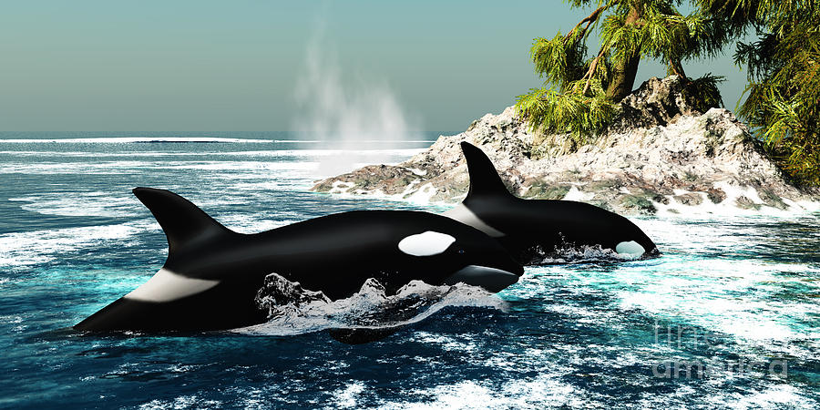 Ford killer whales #9