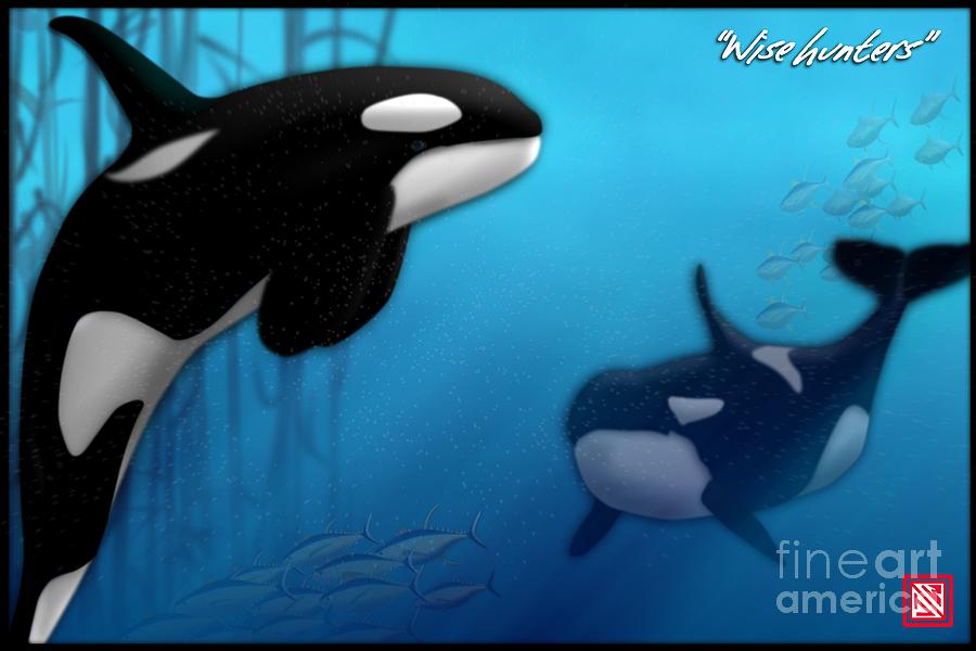 Orca Killer Whales Digital Art by John Wills
