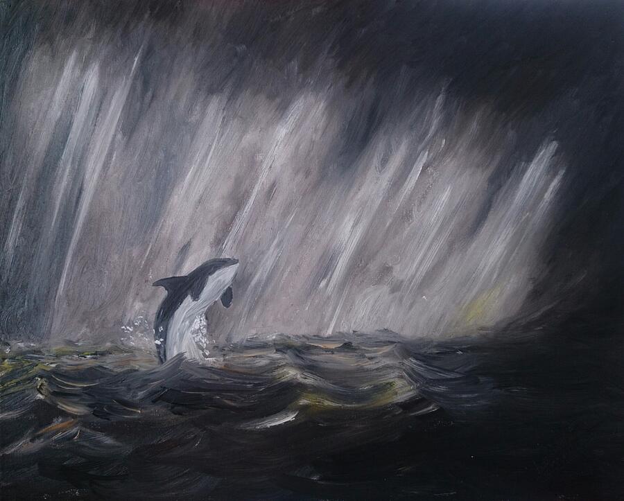 Fish Painting - Orca by Abbie Shores
