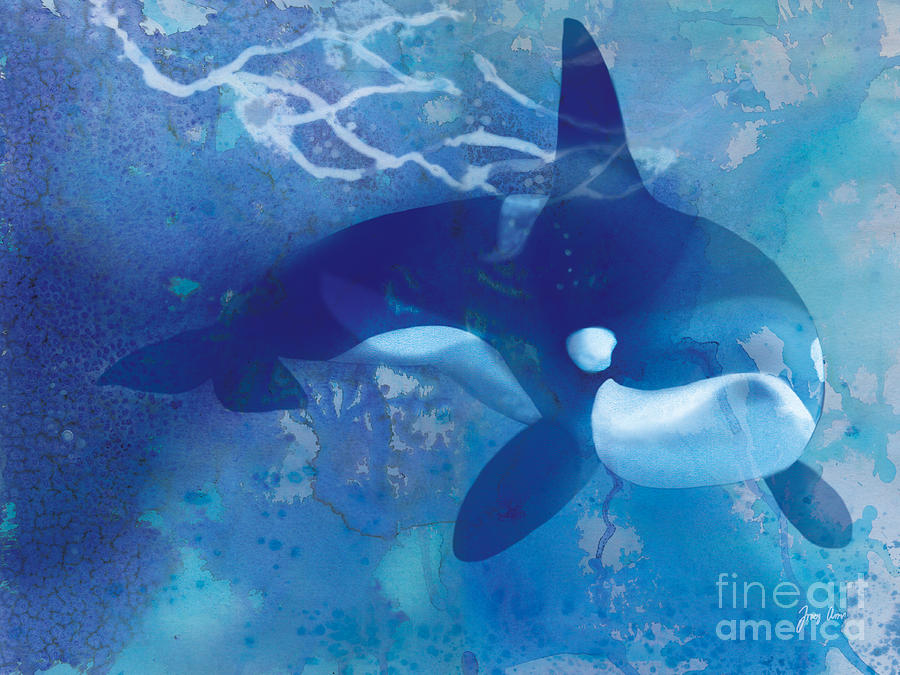 Orca, killer whale Painting by Tracy Herrmann