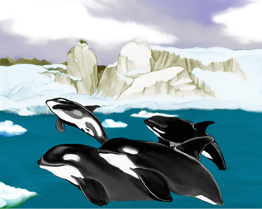 Orcas Mixed Media by Anthony Seeker