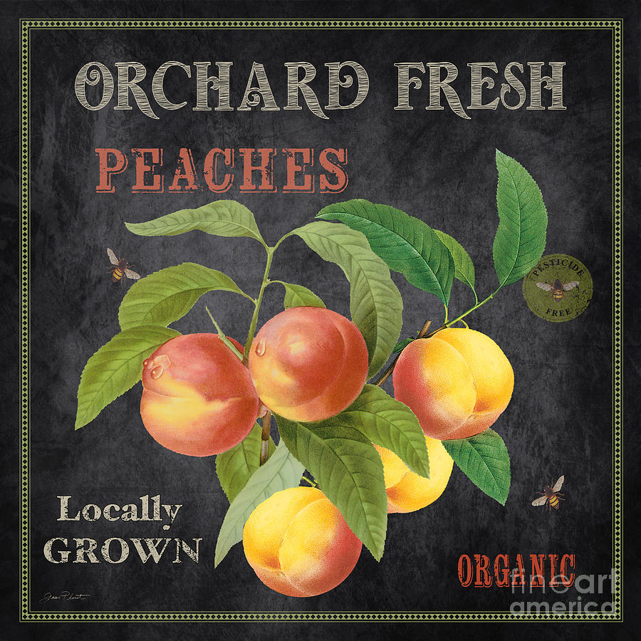 Orchard Fresh Peaches-JP2640 Painting by Jean Plout