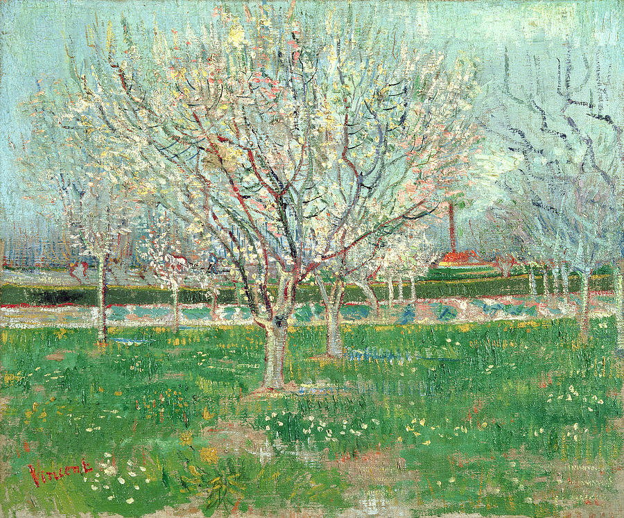 Orchard In Blossom, 1880  Painting by Vincent van Gogh