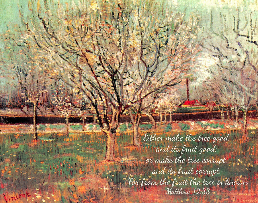 Orchard in Blossom Plum Trees by Van Gogh Digital Art by Denise Beverly