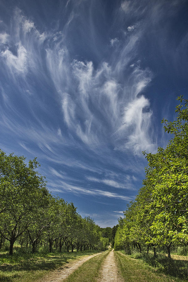 Orchard Road in West Michigan with Cirrus Clouds  Photograph by Randall Nyhof