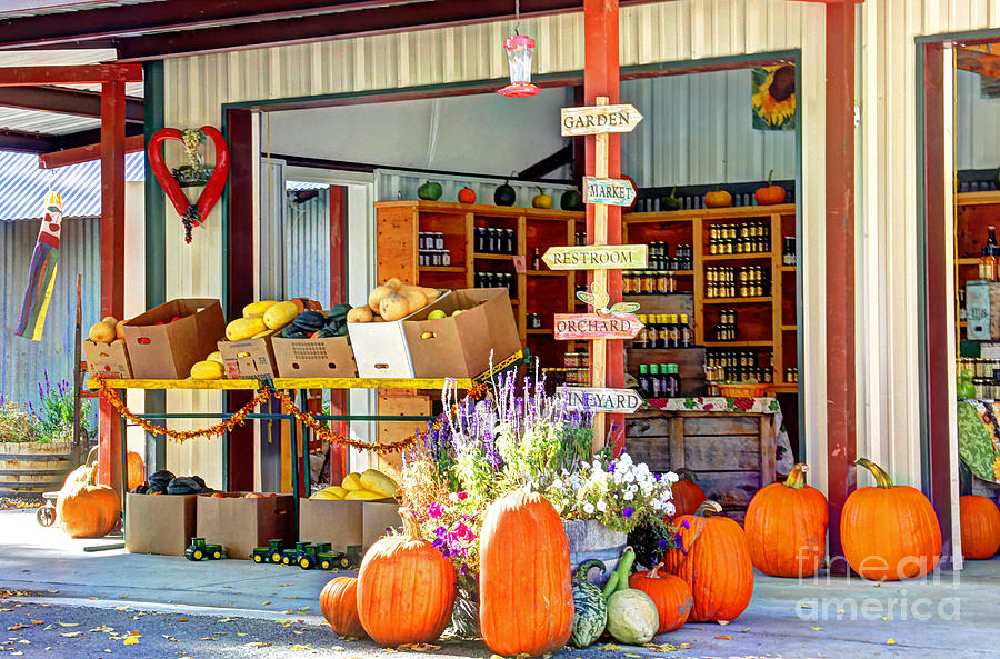 Orchard Valley Market Photograph by Bob Hislop