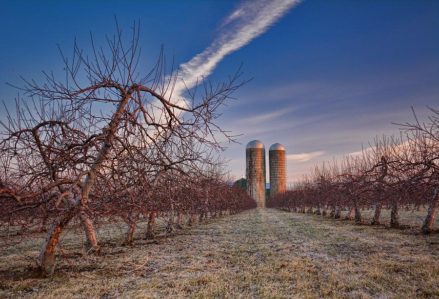 Orchard Waiting For Spring Photograph by Henry Kowalski