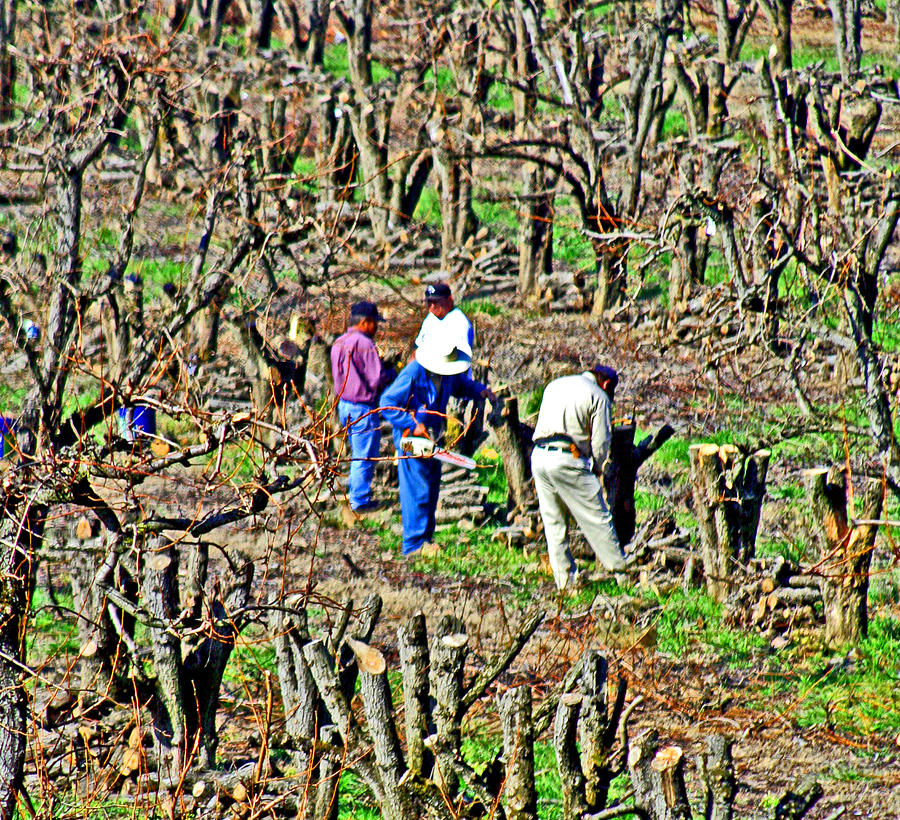 Orchard Workers Digital Art by Joseph Coulombe