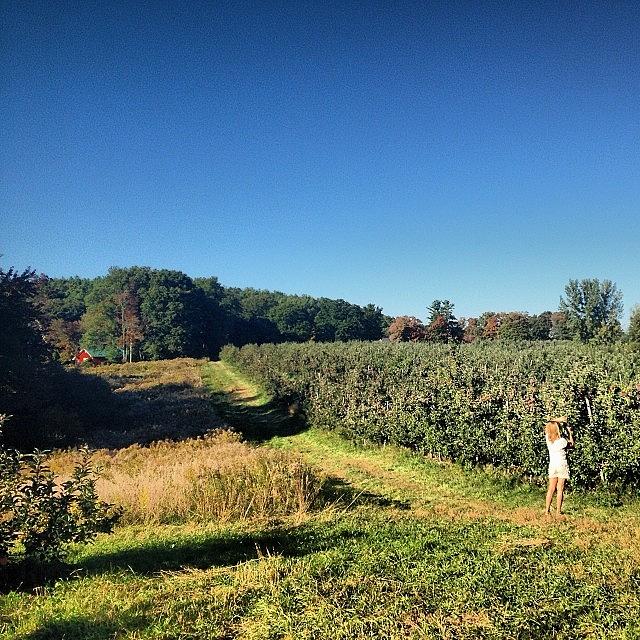 Orchards Photograph - #orchards #applepicking by Hugo Lemes