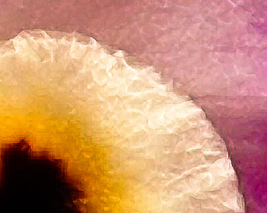 Orchid Abstract-5 Photograph by David Coblitz