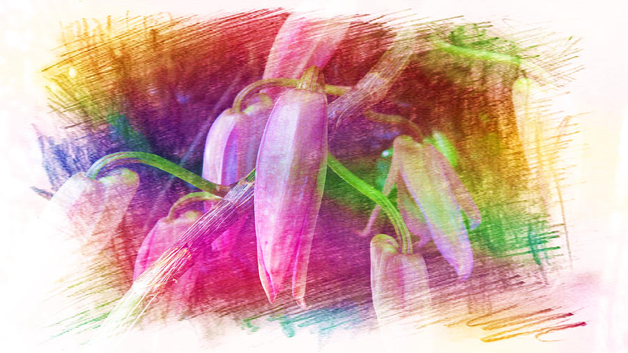 Orchid Abstract Painting by Xueyin Chen