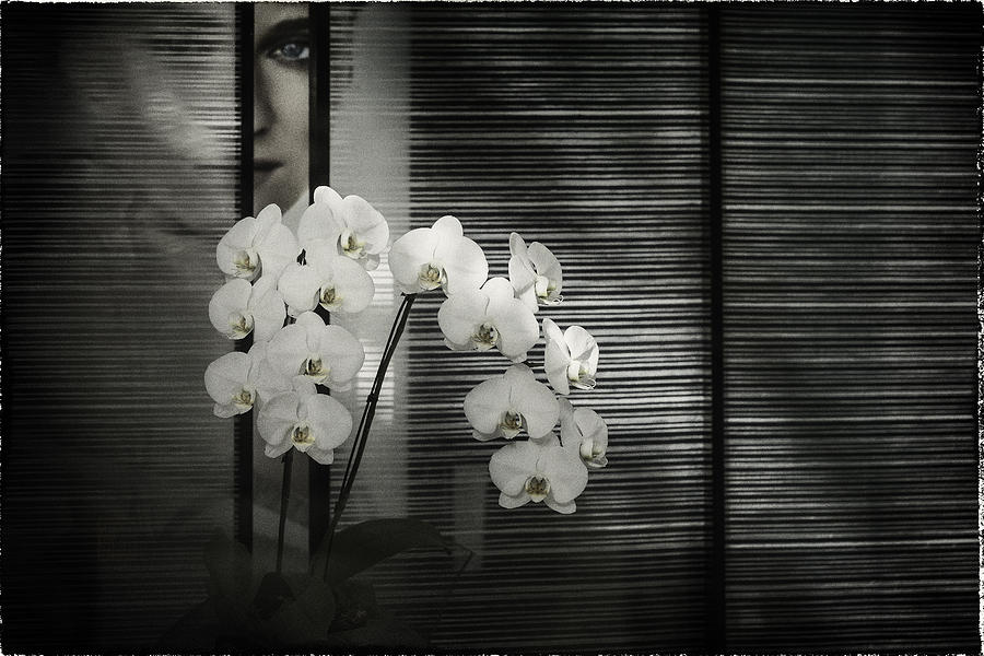 Orchid and Face Photograph by Peter V Quenter