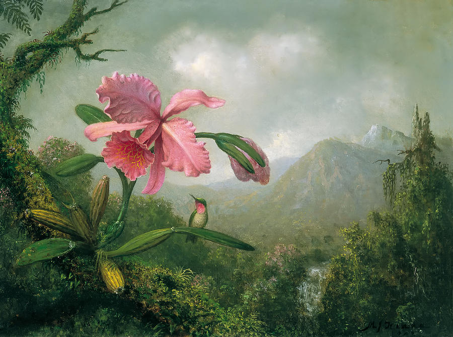 Orchid and Hummingbird Painting by Mountain Dreams