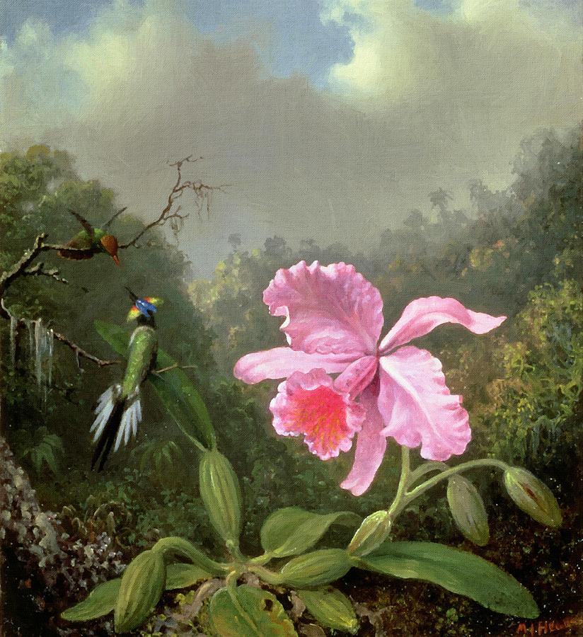 Orchid And Hummingbirds Painting by Martin Johnson Heade
