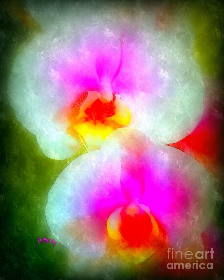 Orchid Art-1 Photograph by Patrick Witz