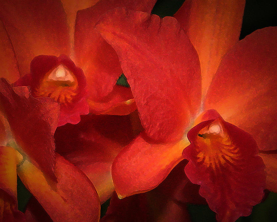 Orchid Companions Photograph by David Coblitz