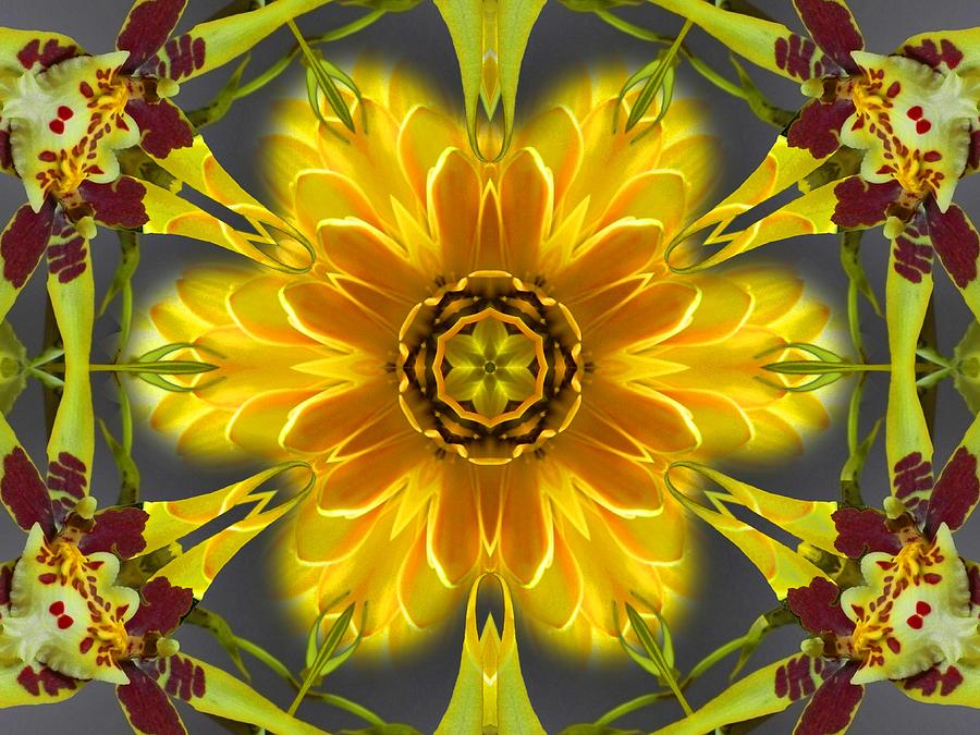 Orchid Flower Star Mandala Digital Art by Diane Lynn Hix