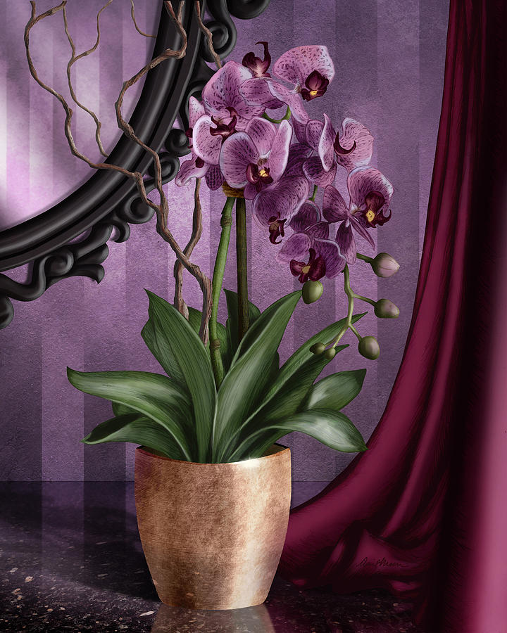 Orchid I Digital Art by April Moen