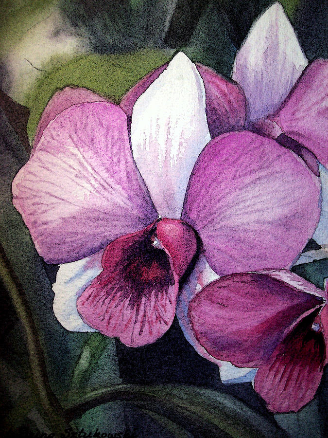 Orchid Painting by Irina Sztukowski