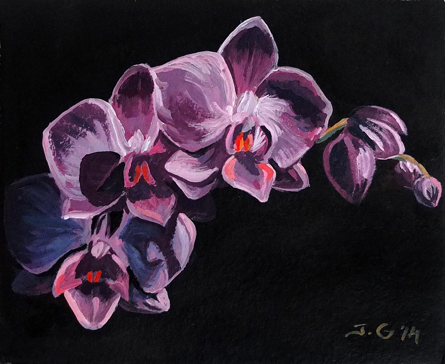 Orchid Painting - Orchid by Jana Goode