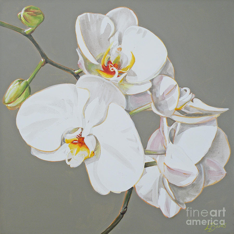 Orchid Painting by Leigh Banks | Fine Art America