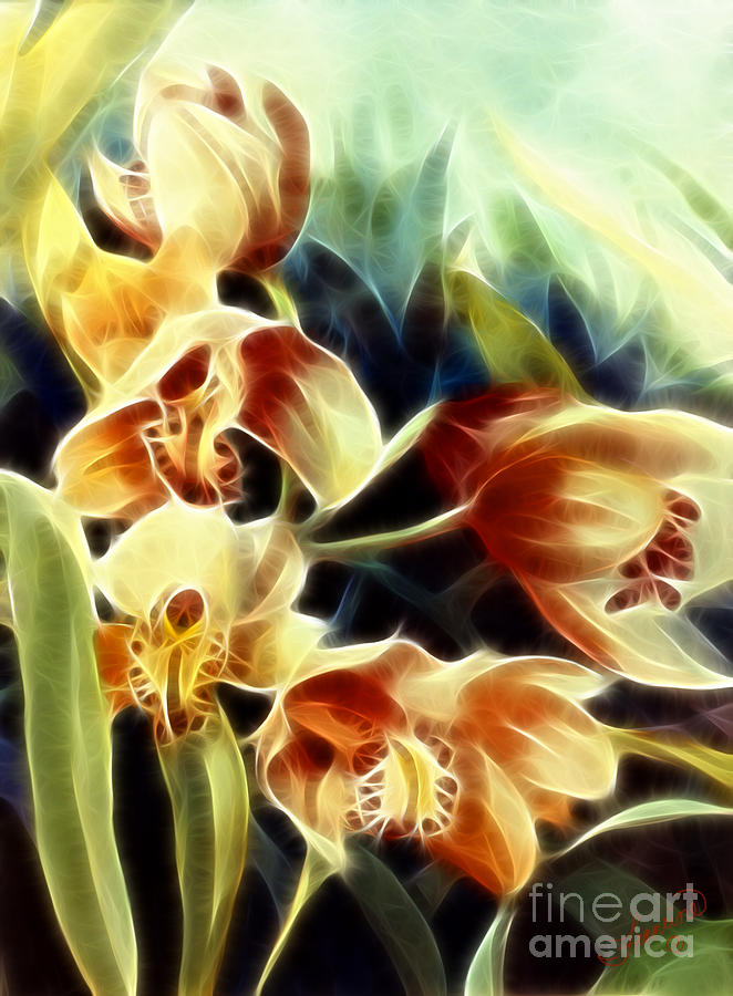 Orchid Life Force 3 Digital Art by Francine Dufour Jones