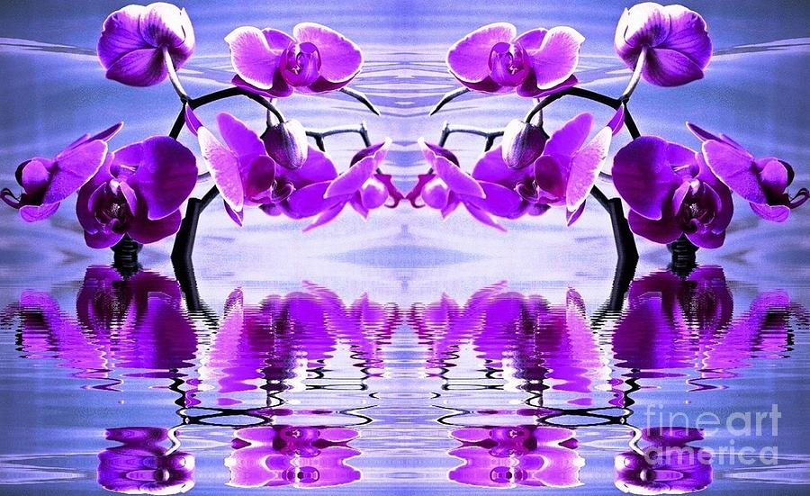 Orchid Mirrored Reflections Photograph by Judy Palkimas